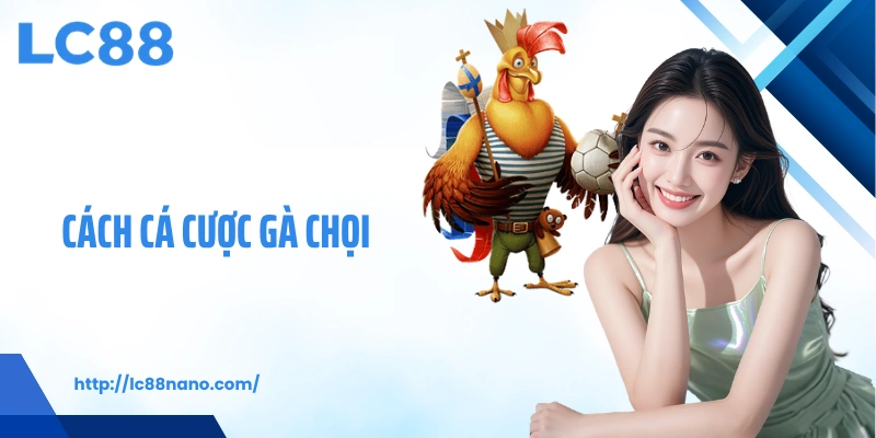 Cách cá cược gà chọi