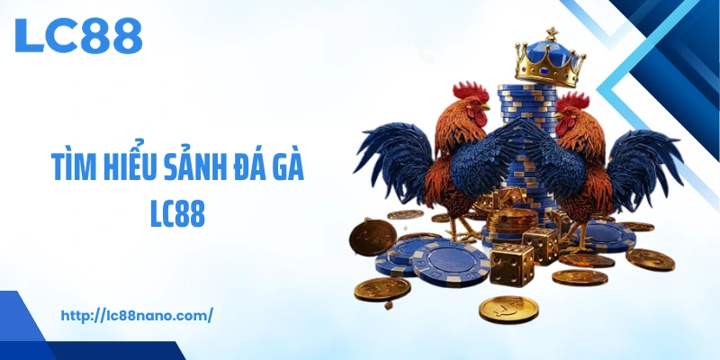 Tìm hiểu sảnh đá gà LC88 
